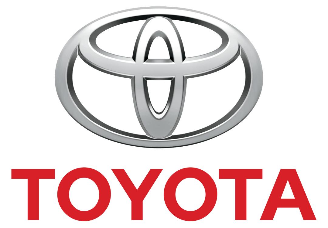 Partner Logo